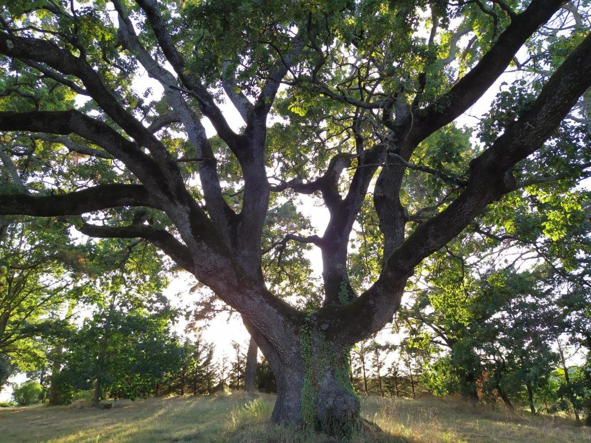 Agriturismo La Villetta San Lorenzo Nuovo Esterno foto