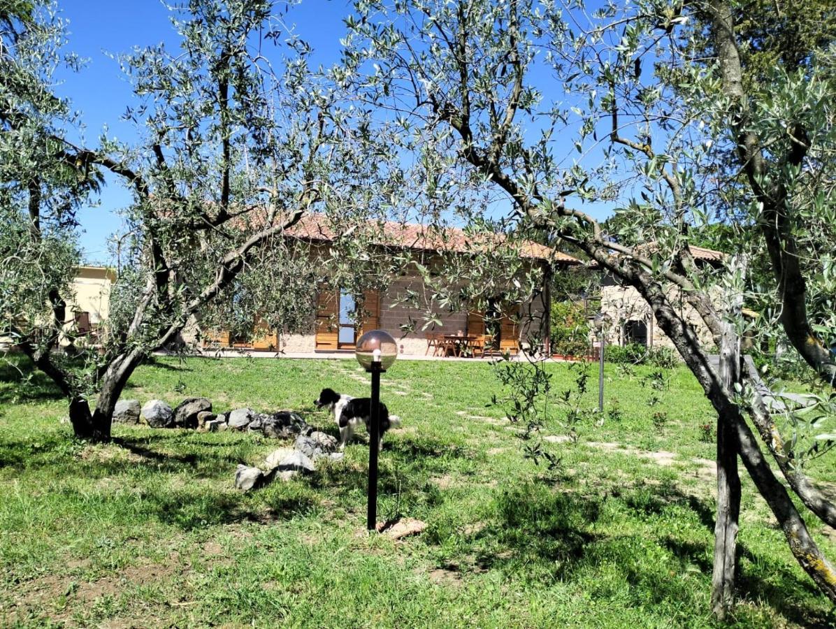 Agriturismo La Villetta San Lorenzo Nuovo Esterno foto